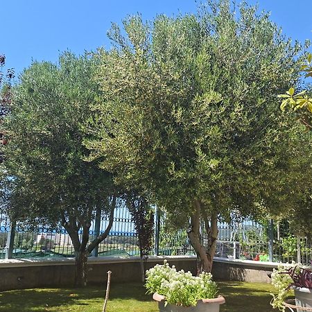 Villa Luiss Panorama Драч Екстериор снимка