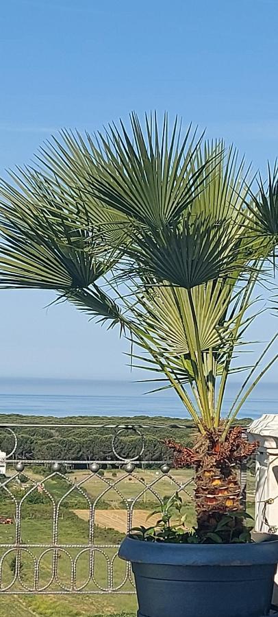 Villa Luiss Panorama Драч Екстериор снимка